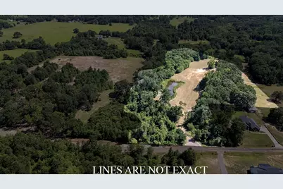 Tbd Lee Road, Murchison, TX 75778 - Photo 3