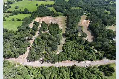 Tbd Lee Road, Murchison, TX 75778 - Photo 7