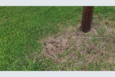 7074 Cherokee Trail, Weatherford, TX 76085 - Photo 17