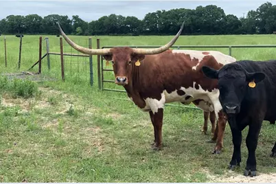 7401 David Court, Godley, TX 76044 - Photo 11