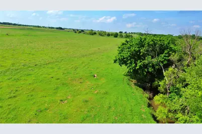 000 County Road 366, Era, TX 76238 - Photo 9