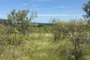 55 County Road 275, Priddy, TX 76442 - Photo 35