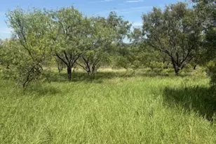 55 County Road 275, Priddy, TX 76442 - Photo 33