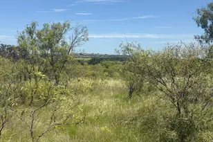 55 County Road 275, Priddy, TX 76442 - Photo 37