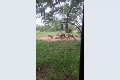 55 County Road 275, Priddy, TX 76442 - Photo 7