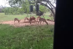 55 County Road 275, Priddy, TX 76442 - Photo 7