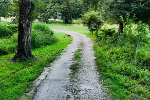 Tbd State Hwy 31 E, Malakoff, TX 75148 - Photo 7