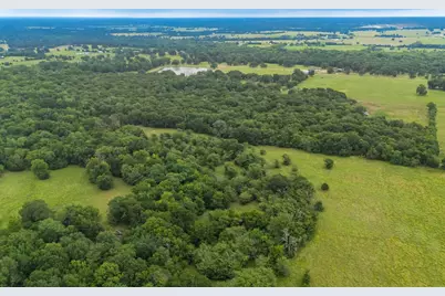 41 A Cr-4209, Campbell, TX 75422 - Photo 9