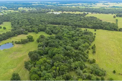 41 A Cr-4209, Campbell, TX 75422 - Photo 5