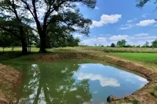 311 Co Rd 2724, Mineola, TX 75773 - Photo 27