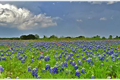 1500 County Road 2850, Kopperl, TX 76652 - Photo 5