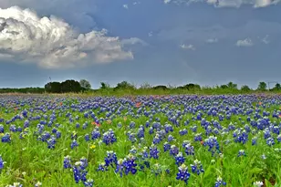 1500 County Rd 2850, Kopperl, TX 76652 - Photo 5