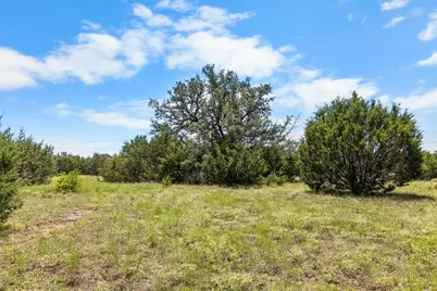 000 Cr 539, Hico, TX 76457 - Photo 7