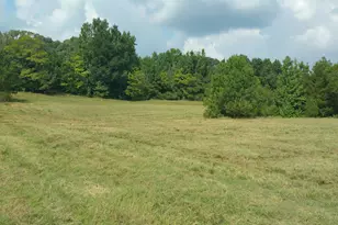 Tbd County Rd 35 Rd, Tyler, TX 75706 - Photo 1