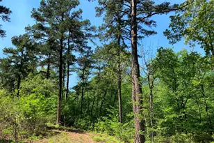 000 Fm-3506, Frankston, TX 75763 - Photo 9