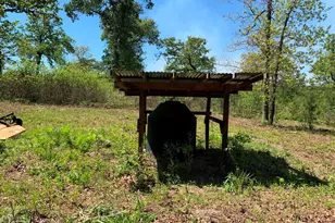 000 Fm-3506, Frankston, TX 75763 - Photo 11