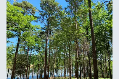 000 Fm-3506, Frankston, TX 75763 - Photo 17