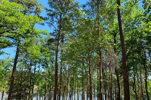 000 Fm-3506, Frankston, TX 75763 - Photo 17