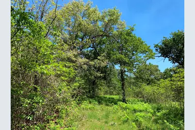 000 Fm-3506, Frankston, TX 75763 - Photo 19