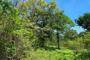 000 Fm-3506, Frankston, TX 75763 - Photo 19