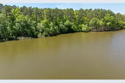 000 Fm-3506, Frankston, TX 75763 - Photo 13