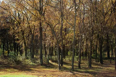 307 Cedar Creek Landing Lane, Mabank, TX 75143 - Photo 27