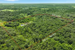 1987 Co Rd 3234, Quitman, TX 75783 - Photo 5