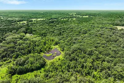 1987 County Road 3234, Quitman, TX 75783 - Photo 29