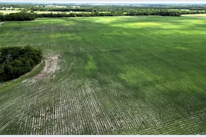 48Ac Cr 2165, Klondike, TX 75440 - Photo 3