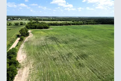 48Ac Cr 2165, Klondike, TX 75440 - Photo 11