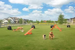 1043 Harmony Trl, Argyle, TX 76226 - Photo 7