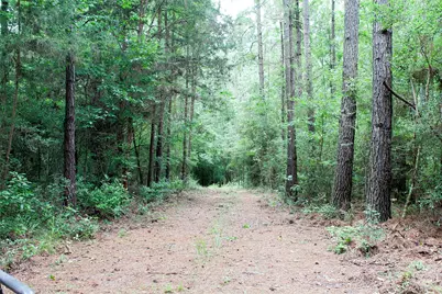 2733 County Road 1560, Grapeland, TX 75844 - Photo 9