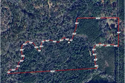 2733 County Road 1560, Grapeland, TX 75844 - Photo 27