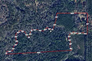 2733 Co Rd 1560, Grapeland, TX 75844 - Photo 27