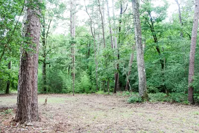 2733 County Road 1560, Grapeland, TX 75844 - Photo 7