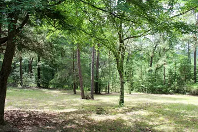 2733 County Road 1560, Grapeland, TX 75844 - Photo 1