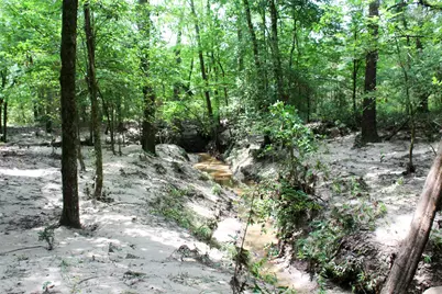 2733 County Road 1560, Grapeland, TX 75844 - Photo 5