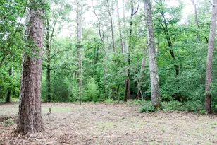 2733 Co Rd 1560, Grapeland, TX 75844 - Photo 7