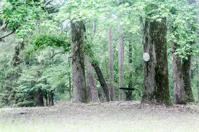 2733 County Road 1560, Grapeland, TX 75844 - Photo 15