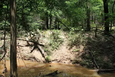 2733 County Road 1560, Grapeland, TX 75844 - Photo 13