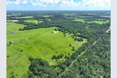 10446 Fm 859, Edgewood, TX 75117 - Photo 11