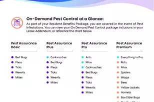 6217 Rainbow Valley Pl, Frisco, TX 75035 - Photo 29