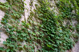 4030 Buena Vista St, Dallas, TX 75204 - Photo 27