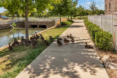 6137 Marquita Mews, North Richland Hills, TX 76180 - Photo 37