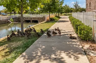 6137 Marquita Mews, North Richland Hills, TX 76180 - Photo 37