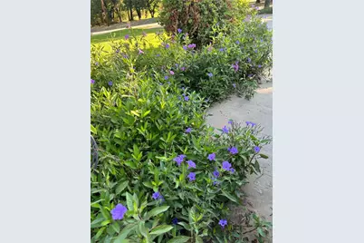 1149 Country Club Road, Bowie, TX 76230 - Photo 15