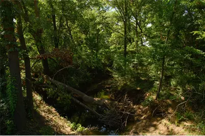 Tbd Fm 901, Sadler, TX 76264 - Photo 9