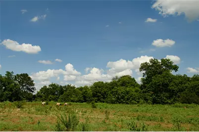 Tbd Fm 901, Sadler, TX 76264 - Photo 5