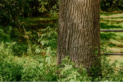 Tbd Fm 901, Sadler, TX 76264 - Photo 3