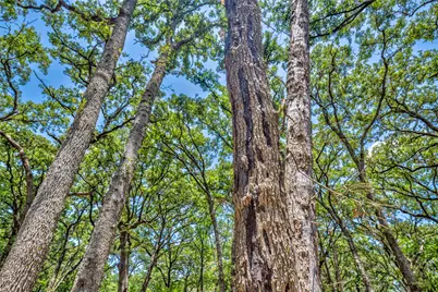 9785 Sunrise Boulevard, Quinlan, TX 75474 - Photo 21